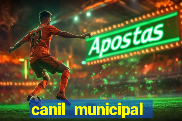 canil municipal porto alegre